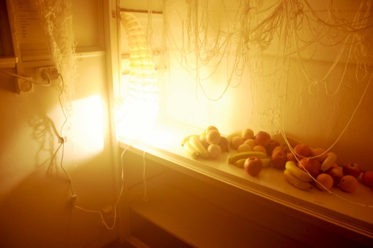 maugo dudek photography