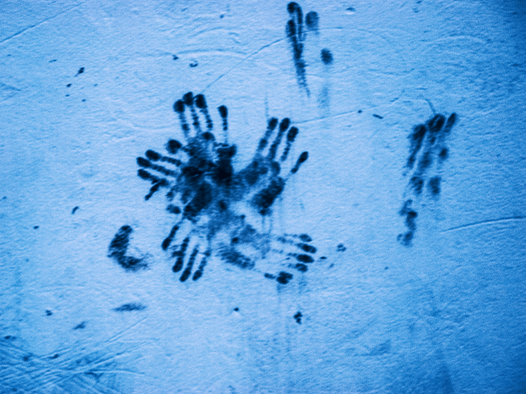 inter tactile maugo dudek