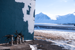 maugo dudek photography