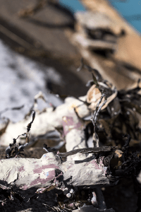 maugo dudek photography