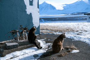 maugo dudek photography