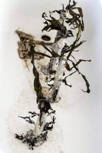 maugo dudek photography