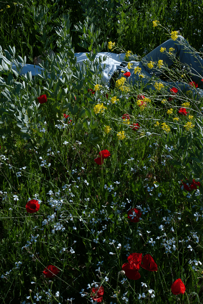 maugo dudek mallorca