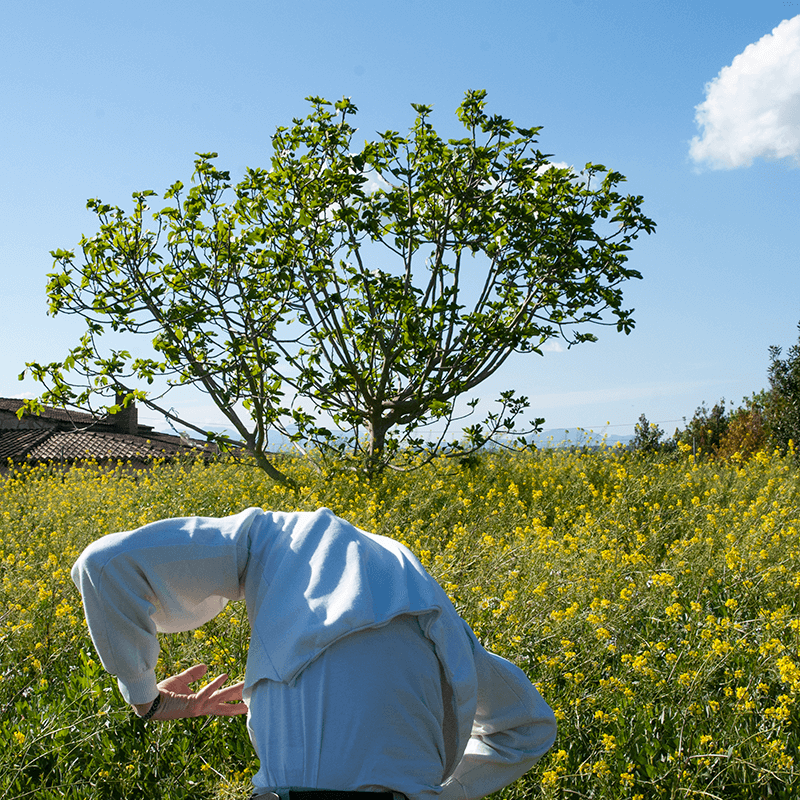 maugo dudek mallorca