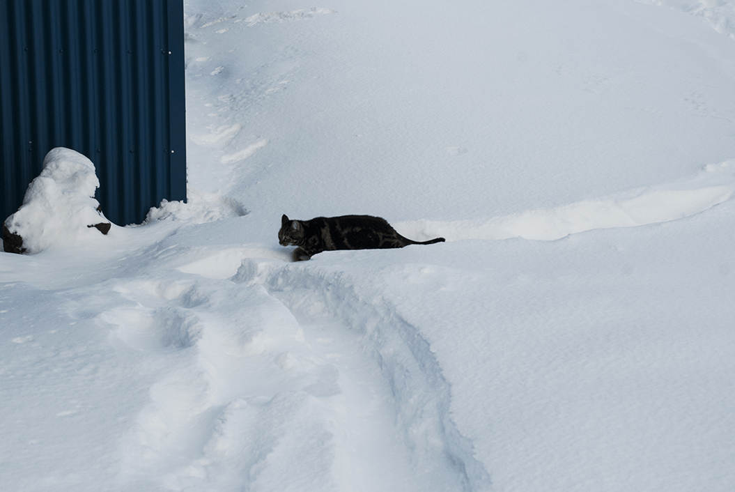 maugo dudek photography