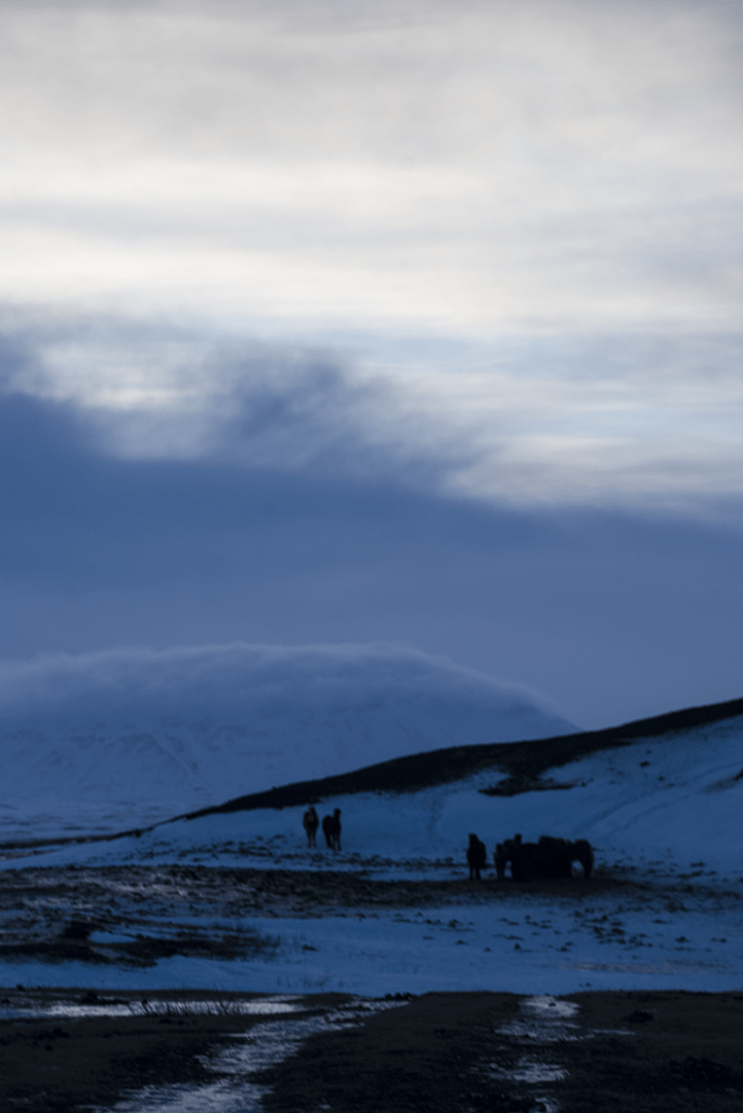 maugo dudek photography