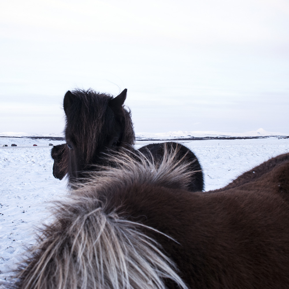 maugo dudek photography