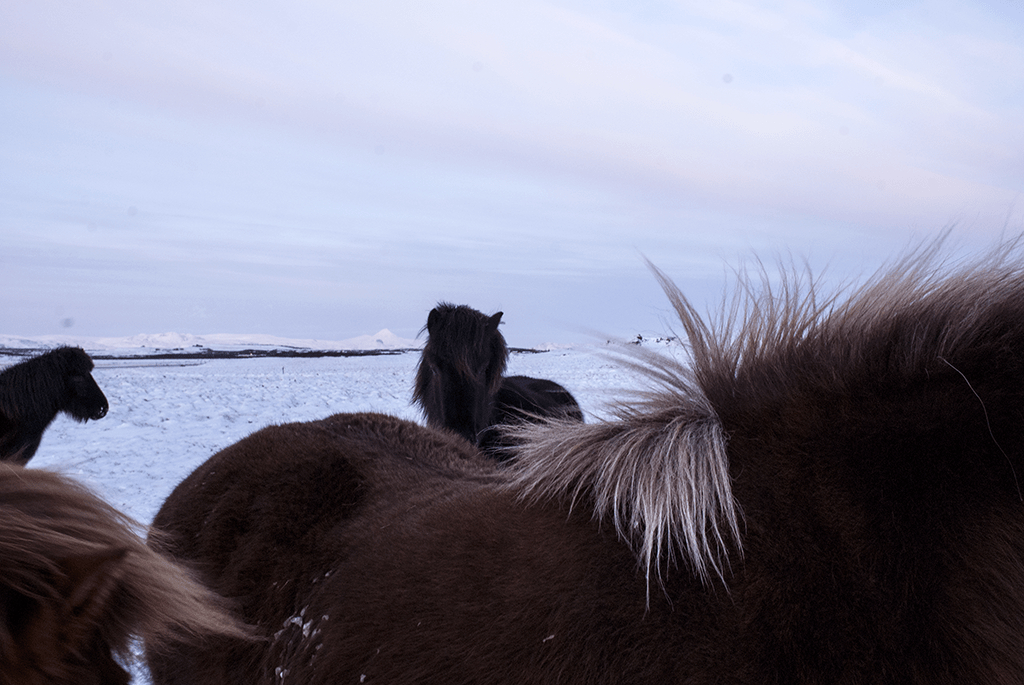 maugo dudek photography