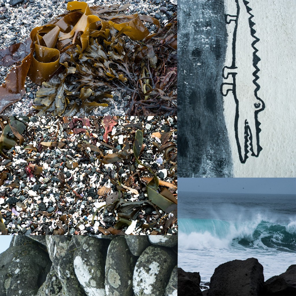 maugo dudek photography