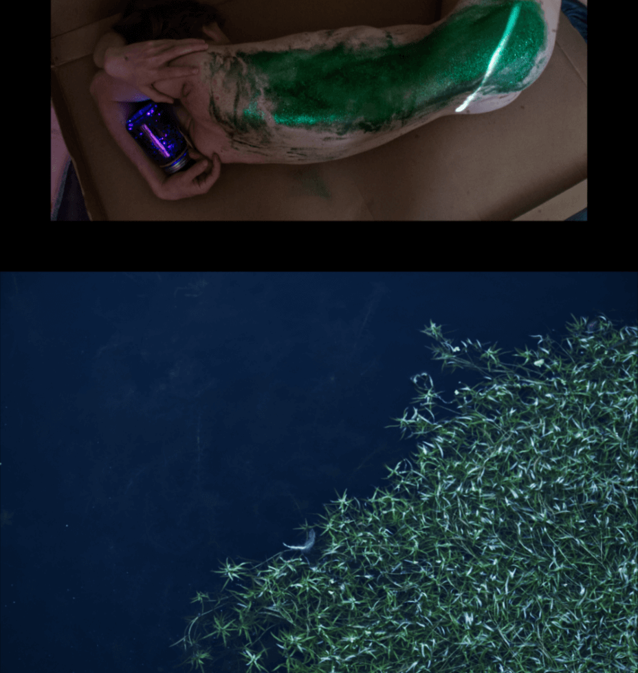 maugo dudek photography