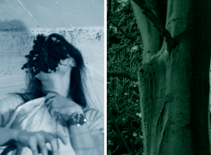 maugo dudek hybrid walks