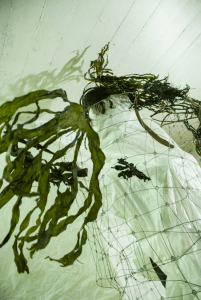 maugo dudek hybrid walks