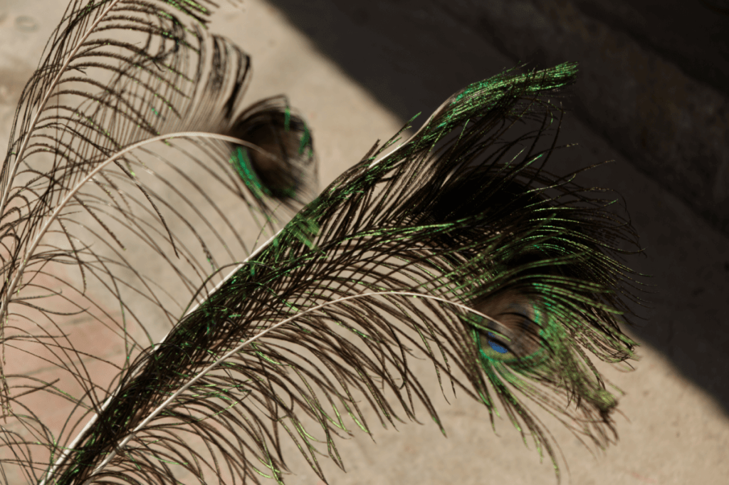 nepal_travelogue_colors2_maugodudek