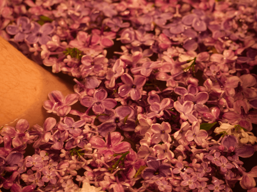 maugo dudek photography lylac