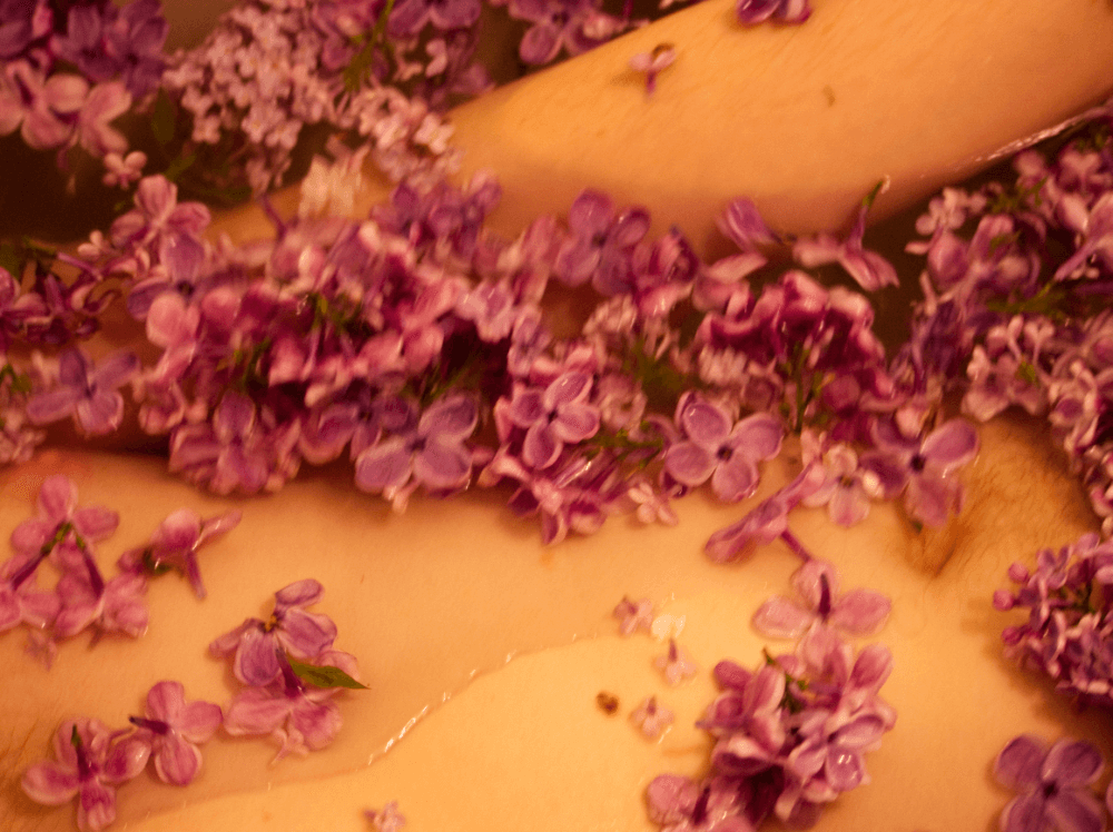 maugo dudek photography lylac